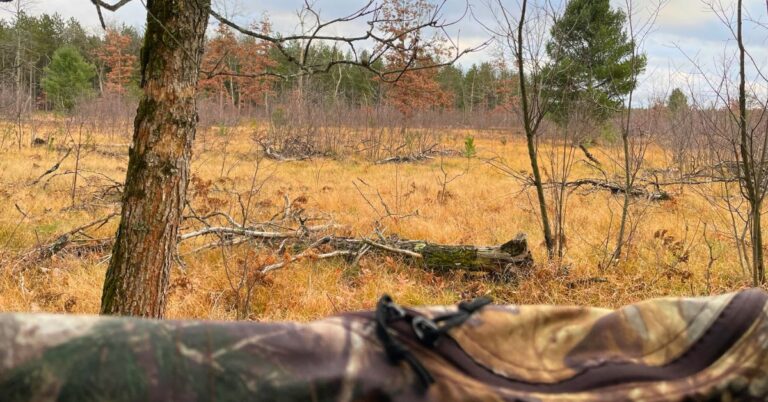 View of public land from a hunting blind