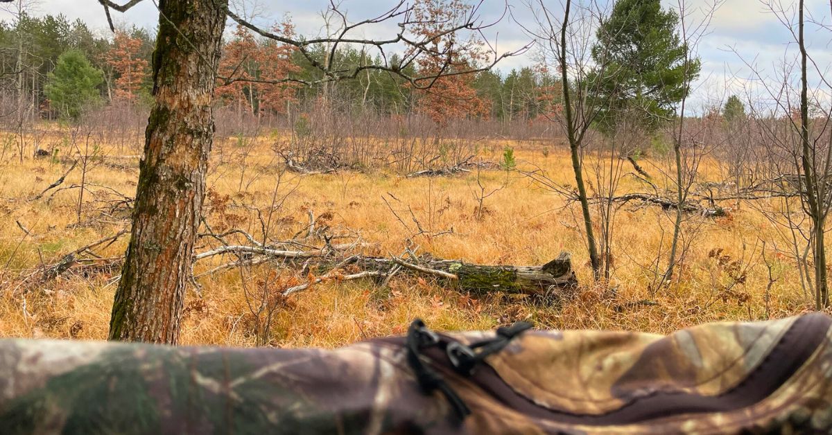 View of public land from a hunting blind
