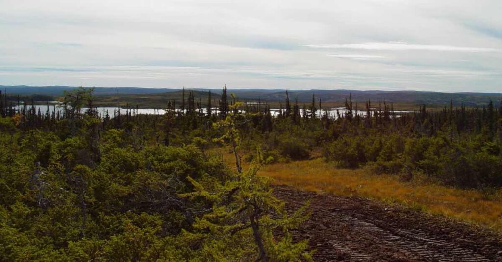 Wilderness of Newfoundland