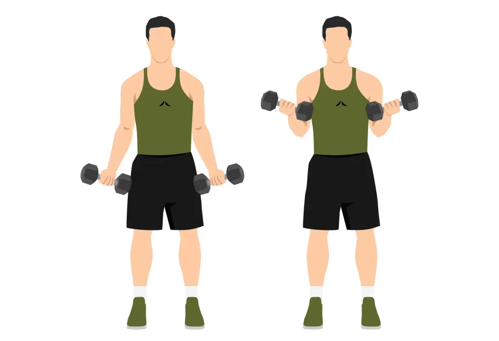 Illustration of Bicep curls