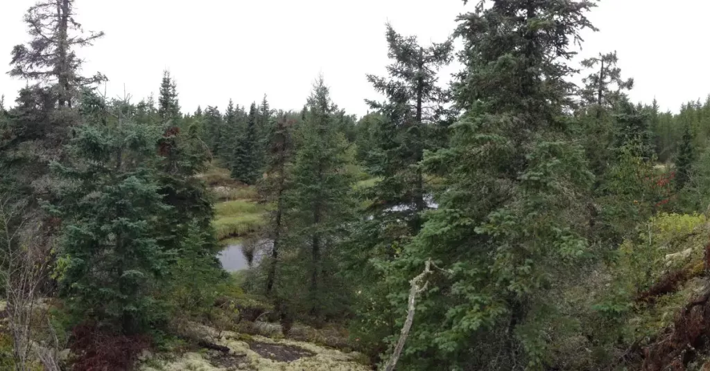Manitoba Canada Wilderness
