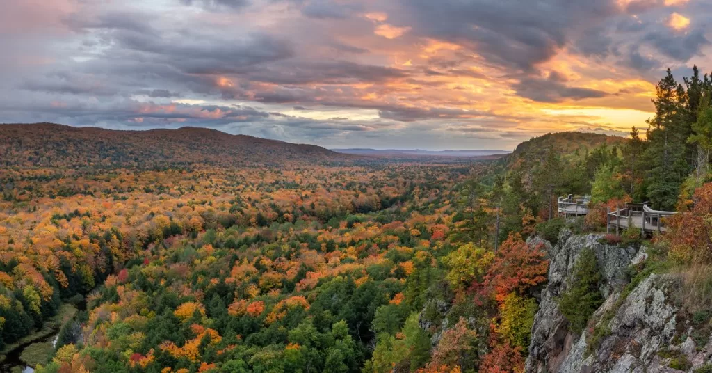 Wide view of forested land in Michigan's Upper Peninsula