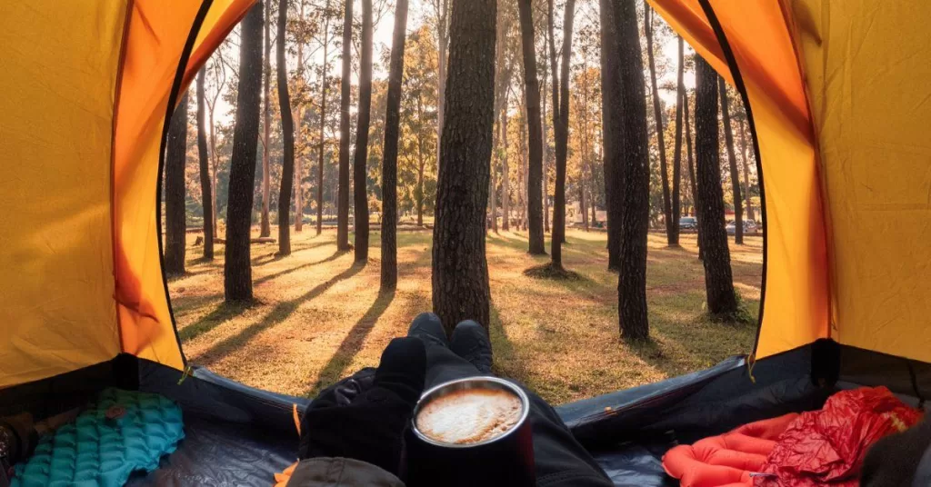 View of the woods from inside a camping tent