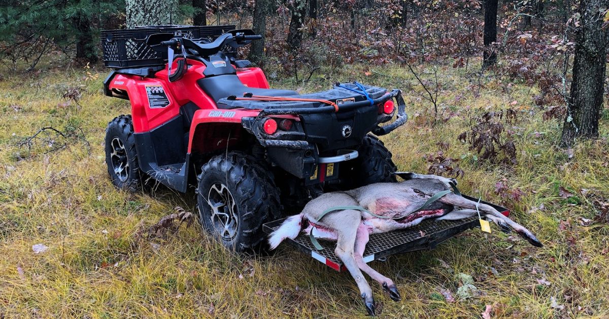 Gutted deer on the back of four-wheeler in the woods