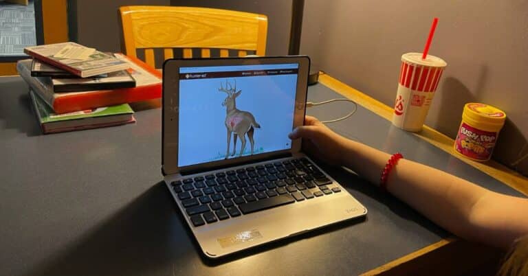 Day 2: Online Hunter Safety Course for Michigan