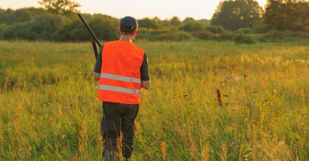 Young Hunter wearing orange vest tracking deer