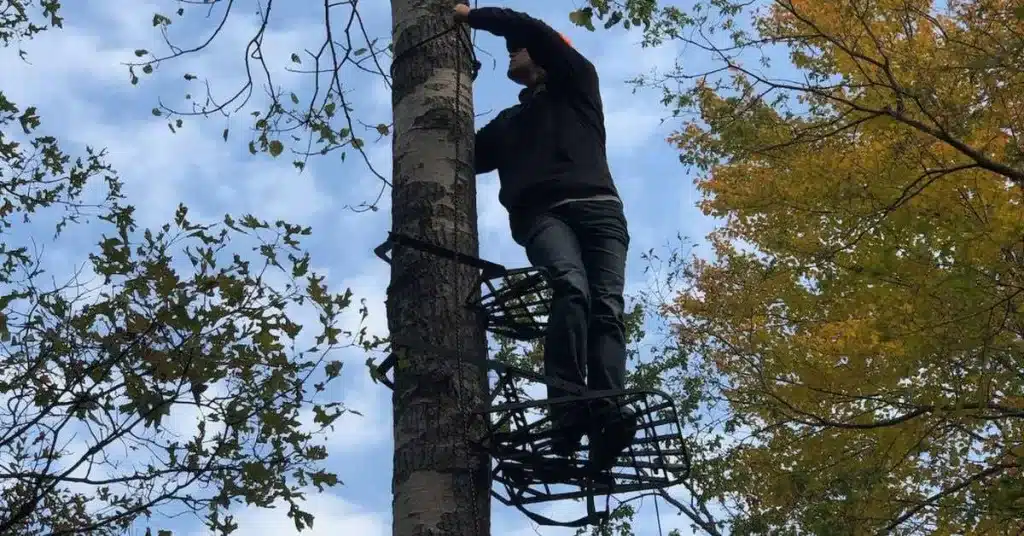 Bow hunter in tree with a climber.