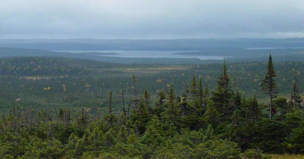 Newfoundland Canada wilderness