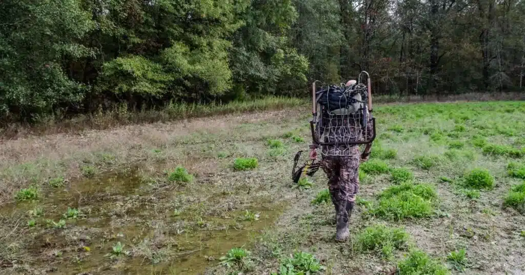 Bow hunter walking into woods with tree stand on his back.