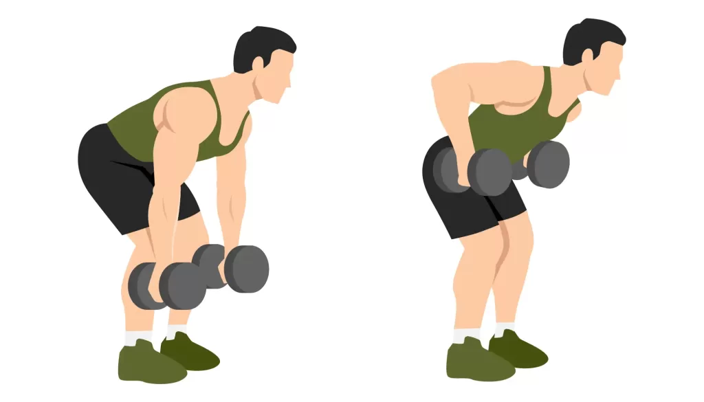 Bent Over Row exercise