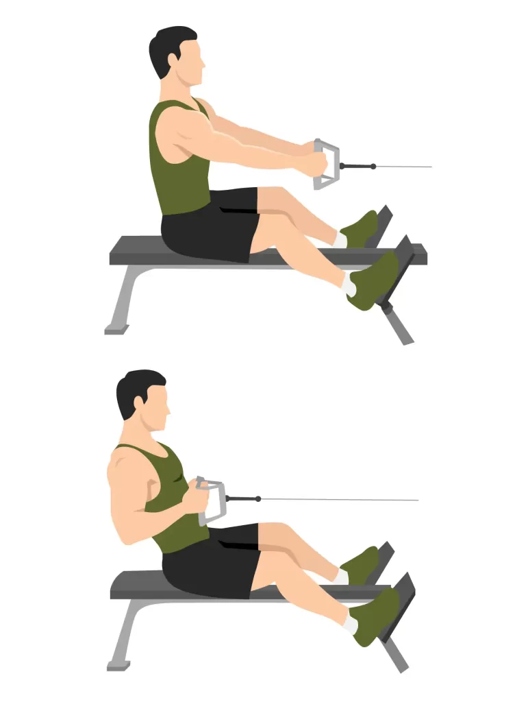 Illustration of a seated cable row exercise