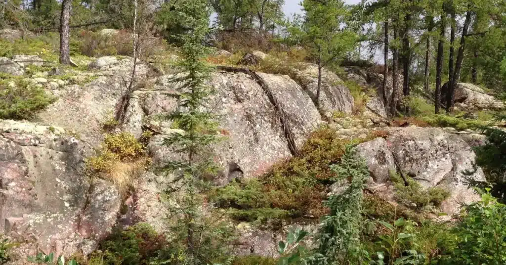 Rocky cliff with trees