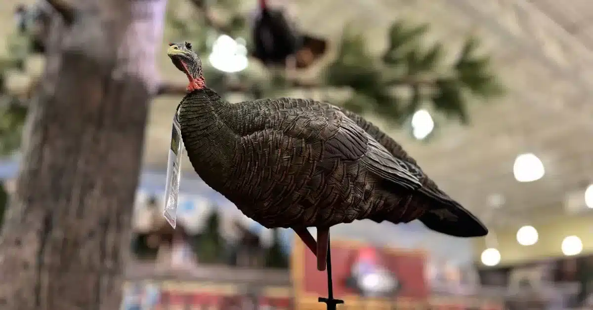 Turkey hunter gift idea: Decoy