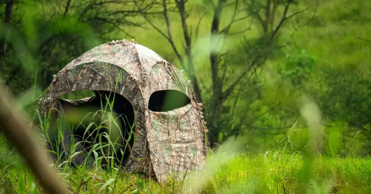 Hunting blind in the woods surrounded by green trees