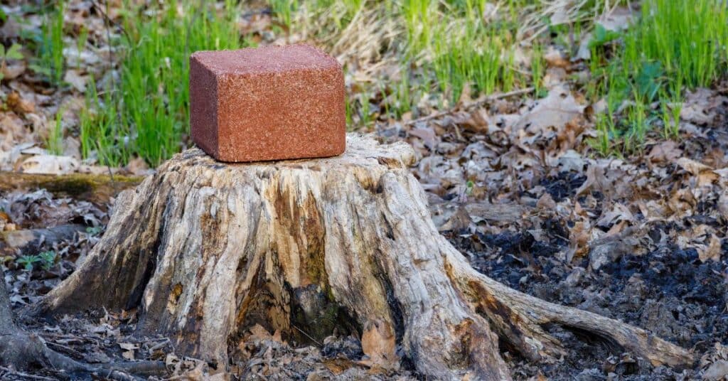 Mineral block deer attractant sitting on tree stump