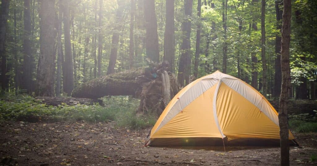 orange tent setup in foggy forest