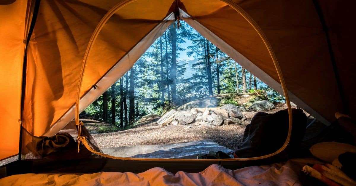 a view of the woods from inside an orange tent