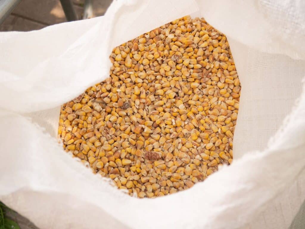 a bag of corn grain from an agricultural store - best bait for deer