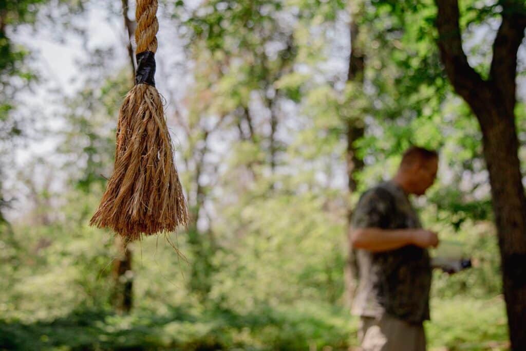 Frayed end of manila rope hanging from a tree in a forest near a mock scrape for deer