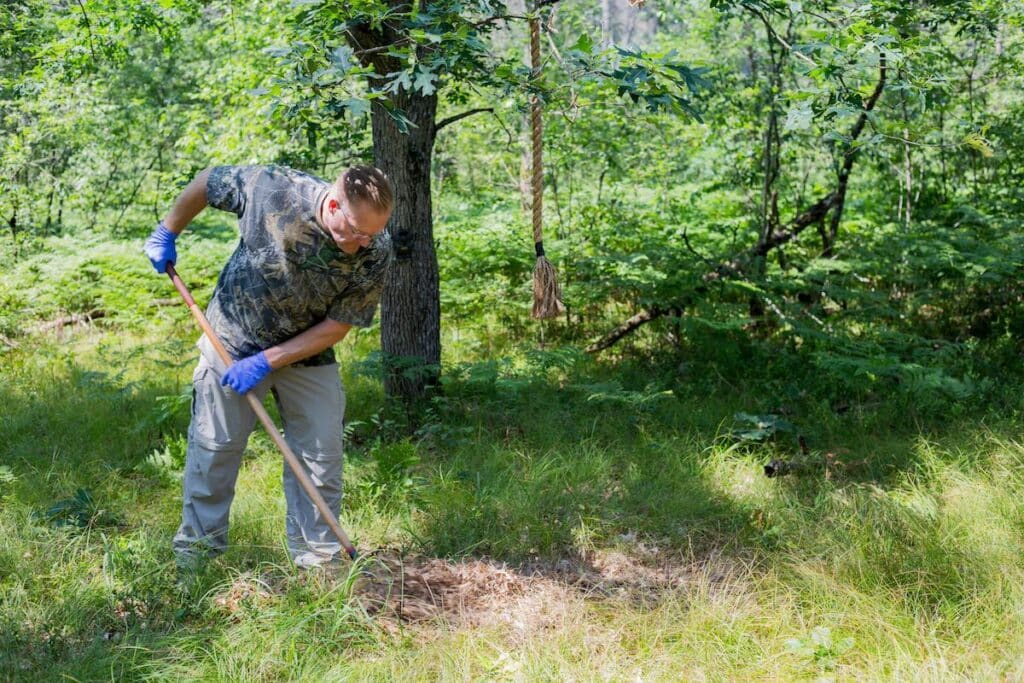 Hunter scraping the ground with a rake in the forest