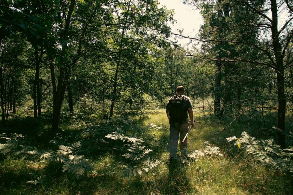 Hunter walking in forest