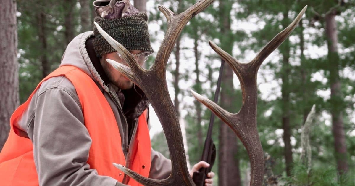 Successful elk hunter wearing hunter's orange kneeling by Elk