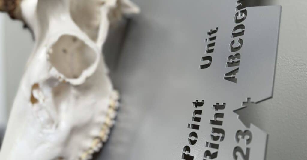 CNC metal backing with elk euro mount