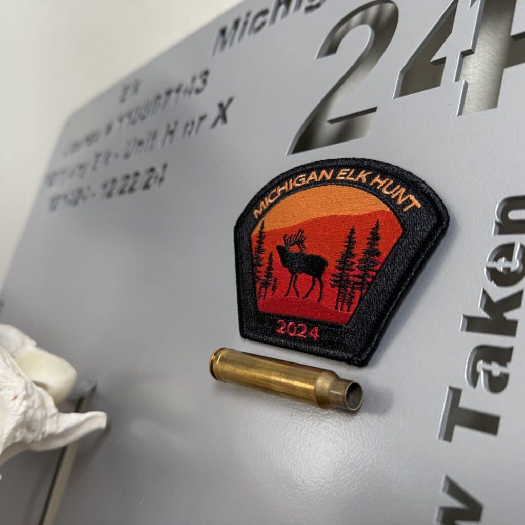 Euro mount elk display with 6x4 antler rack on steel backing